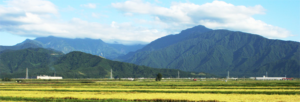 �����s���猩���锪�C�R