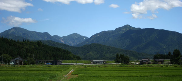 ���C�R��쌤����