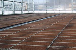 並べたばかりの苗箱